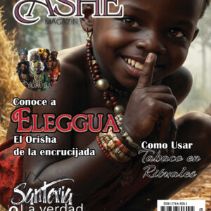 Ashe Magazin (Spanish)